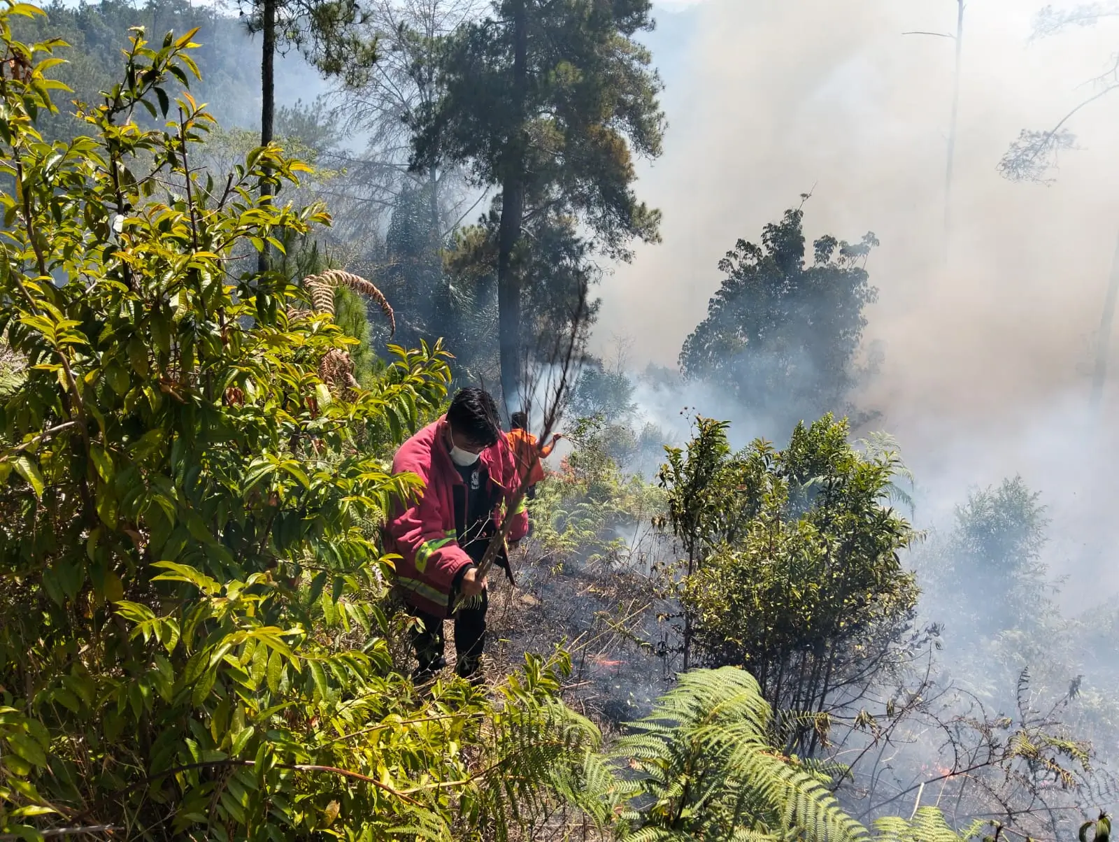 Perkembangan Situasi dan Penanganan Bencana 13 Juli 2025